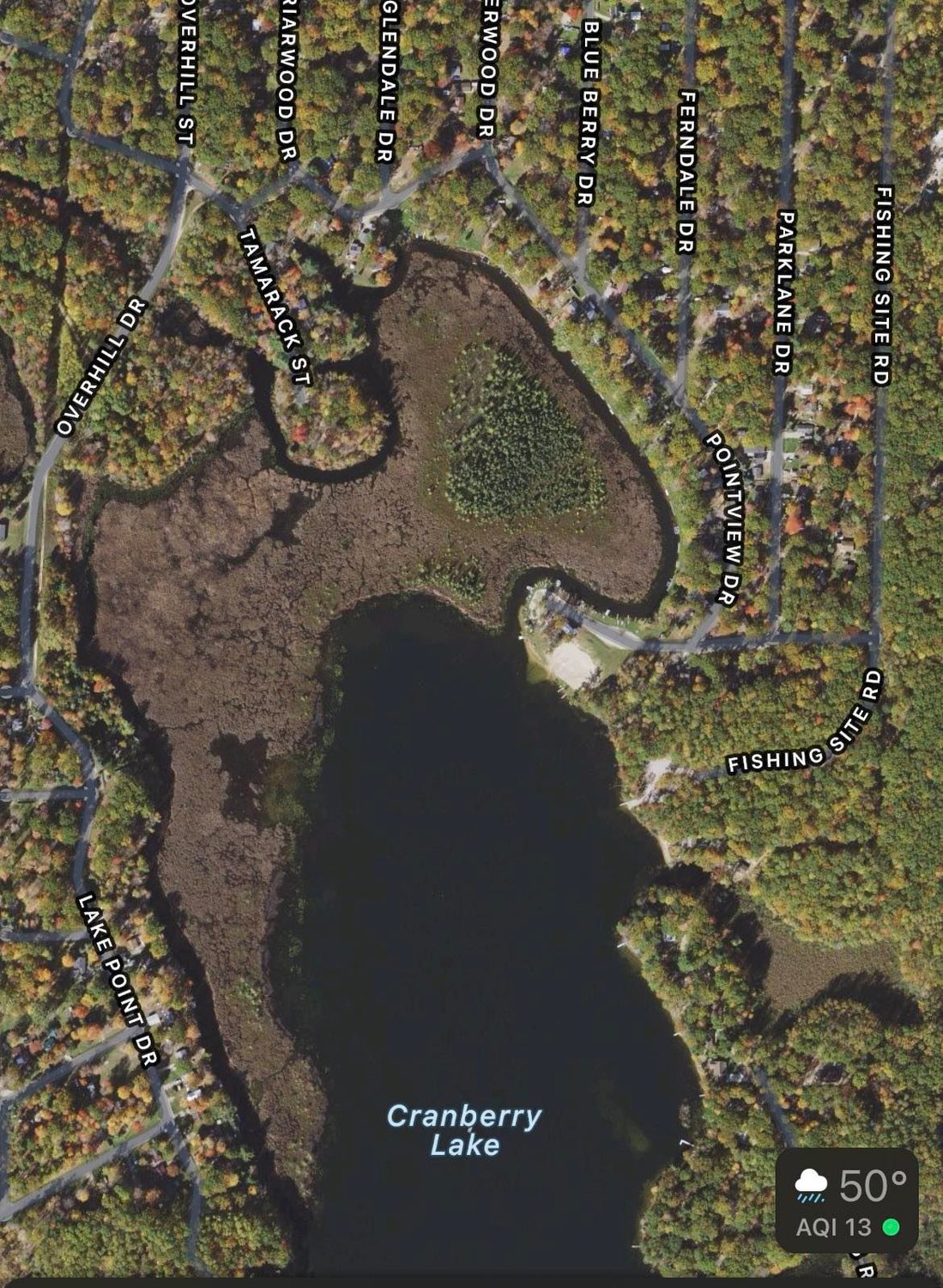 The swampy island on the north end of Cranberry Lake were Zaria was found.